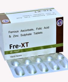 FRE-XT